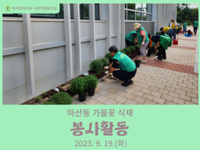 마산동 가을꽃 식재